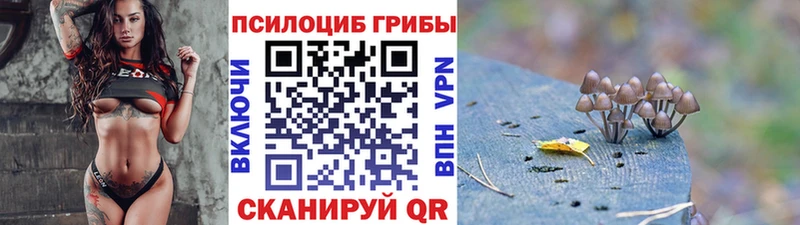 Галлюциногенные грибы Psilocybine cubensis мега ссылки Спасск